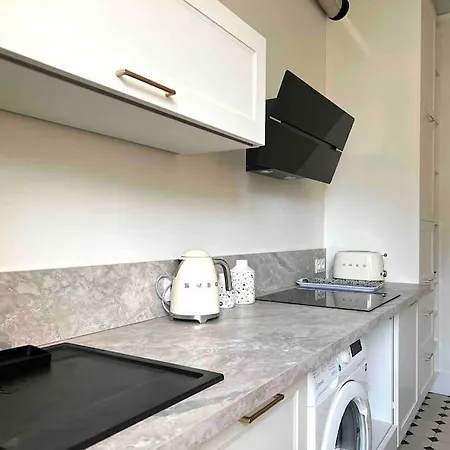 公寓 Entierement Renove Proche Gare 格勒诺布尔